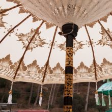 160910_parasol-white-2