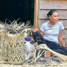 Can Kats basket weaver lady & cat