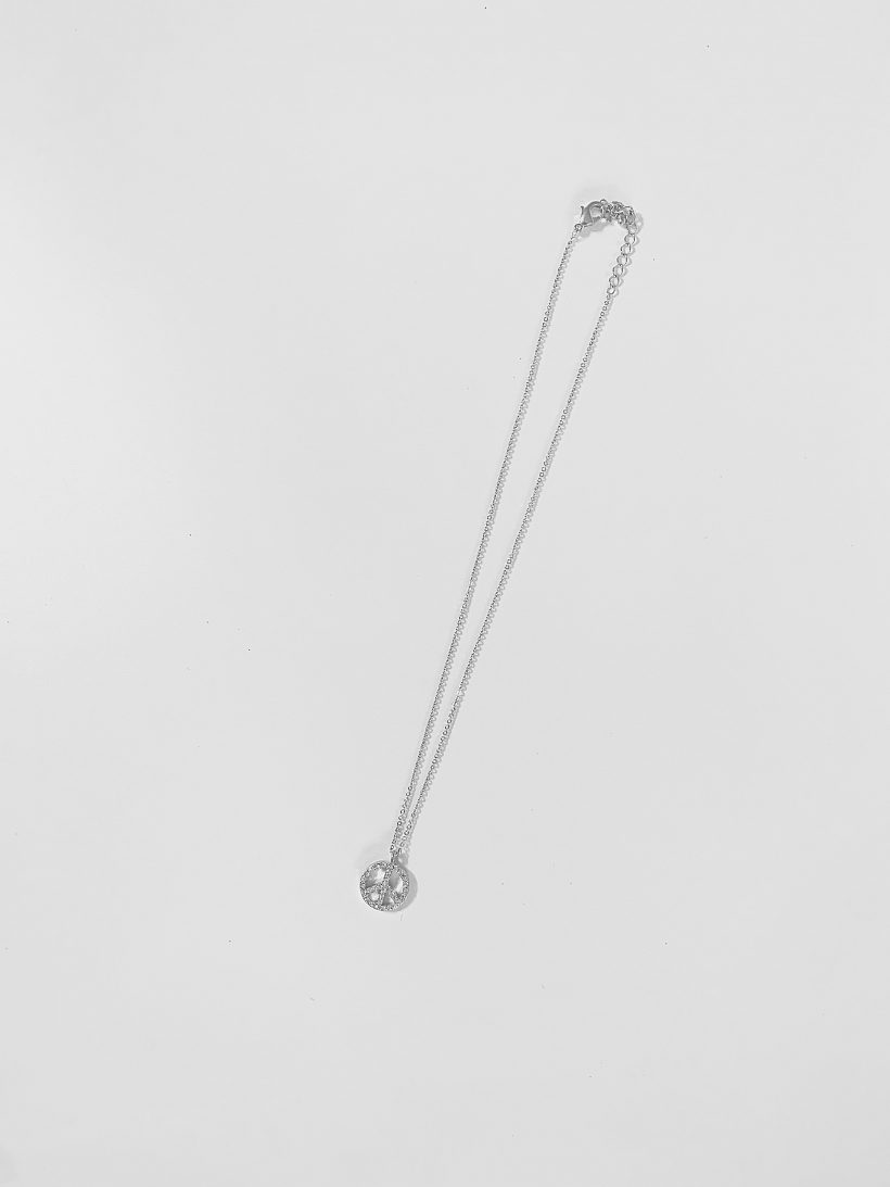 Foto 28-7-23 17 26 51